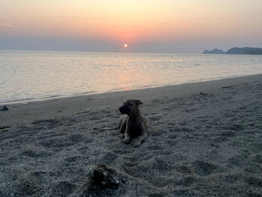 Sunset Serenity Cove Ko Pha Ngan Exterior photo